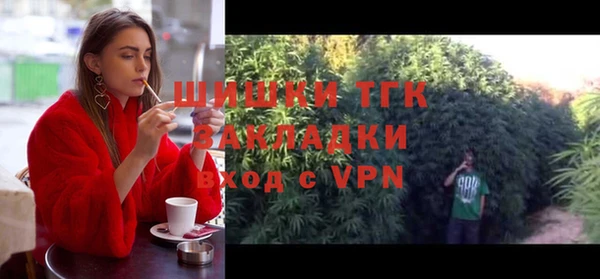 индика Аркадак