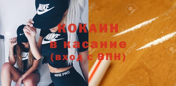 индика Аркадак