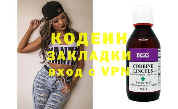 индика Аркадак