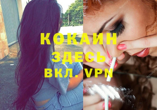 сатива Армянск