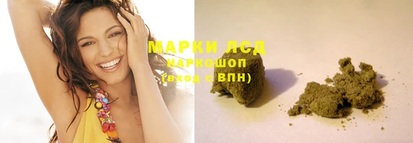 индика Аркадак