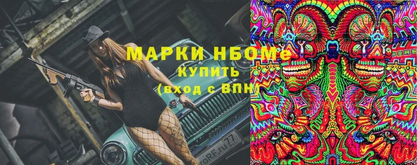 индика Аркадак