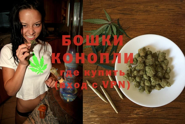 индика Аркадак