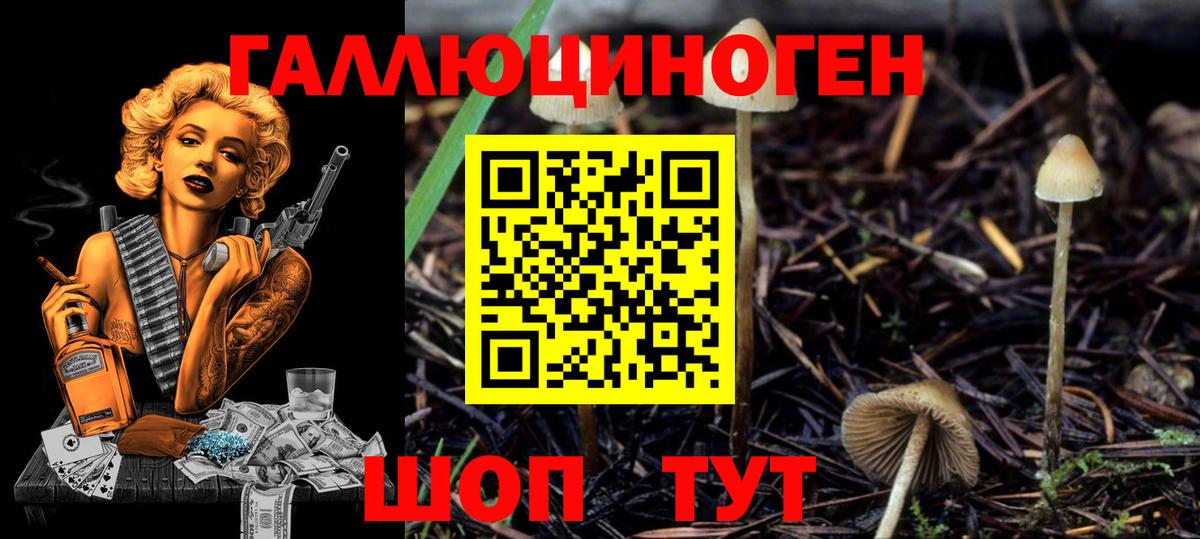 Псилоцибиновые грибы ЛСД  Вход с VPN  Благодарный 