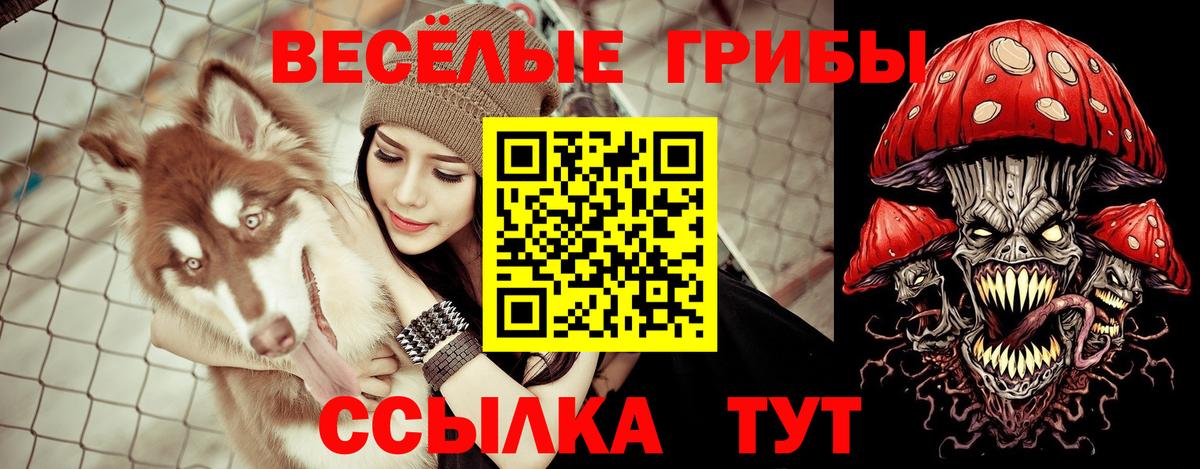 Псилоцибиновые грибы MAGIC MUSHROOMS Благодарный