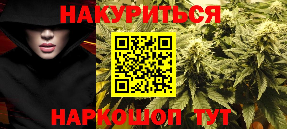 Благодарный  Каннабис сатива  Вход с VPN  Каннабис индика 